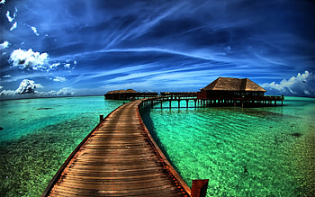 Nexus Nature Computer Backgrounds HD wallpaper