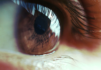 Macro, Eye, Pupil, Eyelash, Eyelashes HD wallpaper