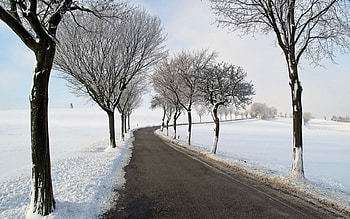 Country Winter Road, winter, snow, trees, road, country HD wallpaper