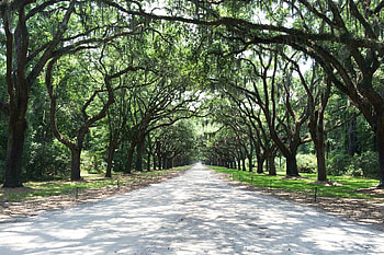 Savannah, Georgia, Architecture, Park walkway HD wallpaper