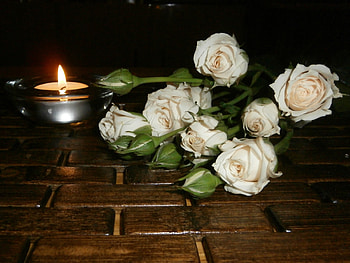 Rose and candle, white rose, candlelight, candle, Rose HD wallpaper