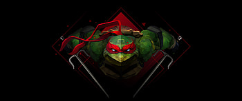 Mutant Ninja Turtles, Raphael , TMNT low poly, Artwork HD wallpaper