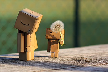 Miscellanea, Miscellaneous, Danbo, Cardboard Robot, Dandelion HD wallpaper