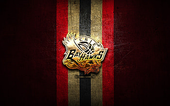 Erie BayHawks, golden logo, NBA G League, red metal background, american basketball team, Erie BayHawks logo, basketball, USA HD wallpaper