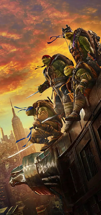 Tontugas, hermanos, tortugas HD phone wallpaper