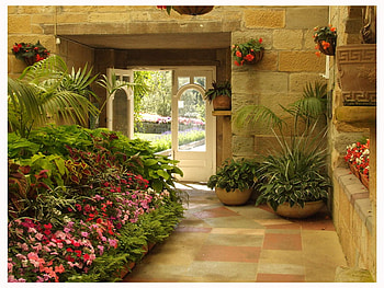 In the Green House, gardens, greenhouse, flower, garden, flowers, interior HD wallpaper