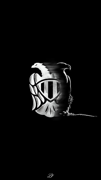 PAOK Eagle, paokfc, blackandwhite, greece, partizan HD phone wallpaper