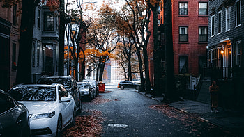 New York Streets, Street , Urban scenery HD wallpaper