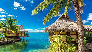 French Polynesia, Sailing guide, Travel destination HD wallpaper