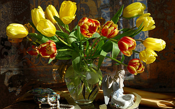 Tulips, still life, vase, flowers HD wallpaper