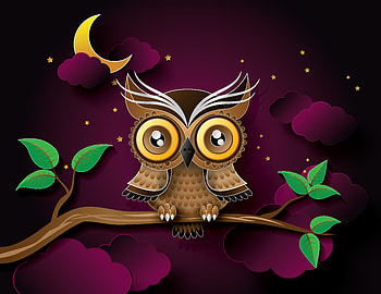 Art, Owl, Vector, Bird, Branch HD wallpaper