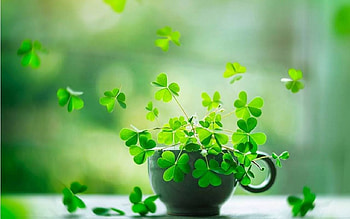 Luck . Good Luck , Luck, Lucky Charm HD wallpaper