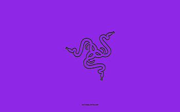 Razer logo, , violet gradient background, Razer carbon logo, violet background, Razer, Razer emblem HD wallpaper