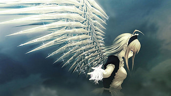 Angel, wings, girl, bones, anime HD wallpaper