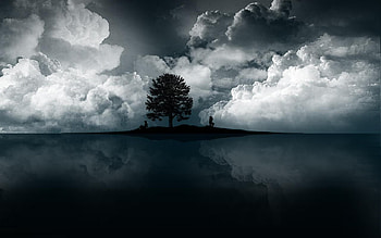 LOST..2, black, new, tree, lost HD wallpaper