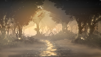 Art, Shine, Light, Forest, Fog, Wildlife, Beasts HD wallpaper