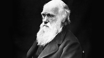 Charles Darwin, Evolutionary biologist, Naturalist, Scientific theory HD wallpaper