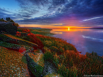 revealed, sea, sky, nature, sunset HD wallpaper