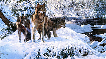 Wolves in Snow, winter, forest, predator, painting HD wallpaper