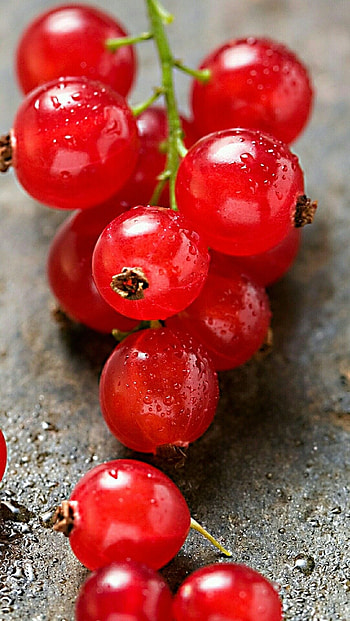 Fruit graphy, Red grapes, Fruit art HD phone wallpaper