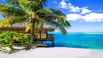 Paracord grtel, French Polynesia, Exotic crafts, Creative accessories HD wallpaper