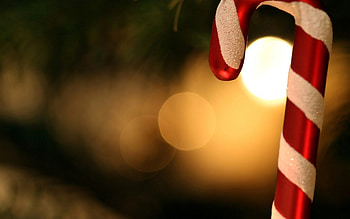 Christmas, bell, christmas decorations, stars, happy holidays, christmas bell, christmas decoration, magic christmas, bow, christmas balls, merry christmas, orange ball, christmas ball, ribbon, bells, decoration, christmas gifts, pretty, christmas bells, ball, lovely, holidays, graphy, christmas eve, golden ball, gift, beauty, xmas, holiday, new year, golden, christmas gift, magic, beautiful, balls, happy new year, red balls, box, decorations, golden balls HD wallpaper