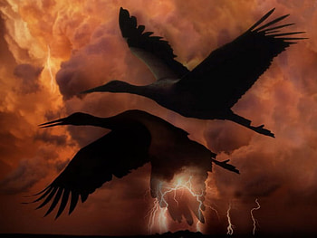 Birds, black, 3d, red HD wallpaper