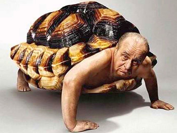 Turtle Man, turtle, funny, graphy, man HD wallpaper