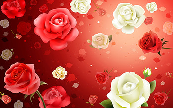 Plants, Flowers, Background, Roses HD wallpaper