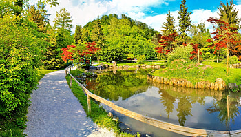 Nature, Summer, Garden, Fencing, Enclosure, Pond, Brightly, Track HD wallpaper