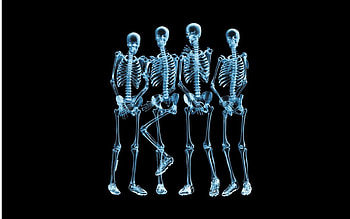 Creative medicine medical biology human anatomy healthcare science health . Android for . HD wallpaper
