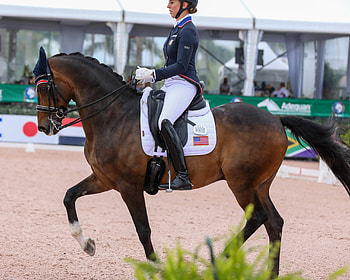 Adequan Global Dressage Festival, Dressage HD wallpaper