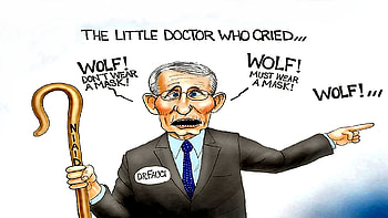 Dr. Stupid, evil, marxist, killer, fauci HD wallpaper