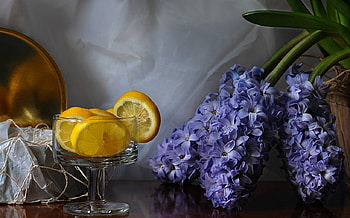 still life, bouquet, lemons, graphy, hyacinths, beauty, nice, mug, delicate, flower, , elegantly, beautiful, pretty, cool, flowers, lovely, hyacinth, harmony HD wallpaper