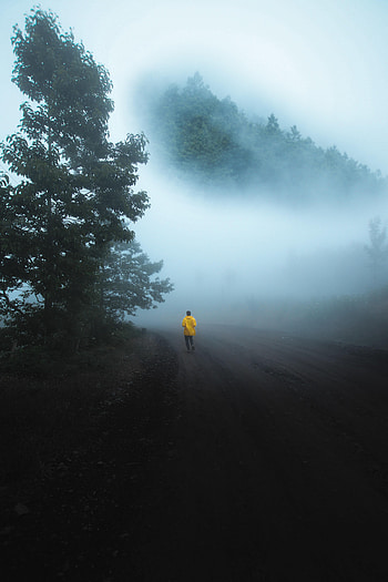 Nature, Miscellanea, Miscellaneous, Fog, Human, Person, Loneliness, Run, Running HD phone wallpaper