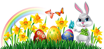 Easter Egg, Holiday, Easter, Bunny, Butterfly, Colorful, Daffodil, Grass, Rainbow HD wallpaper