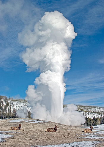 Yellowstone National Park, Cody Yellowstone HD phone wallpaper