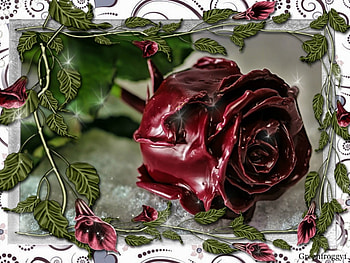 FRAMED ROSE, FLOWERS, ROSE, FRAMED, PLASTIC HD wallpaper