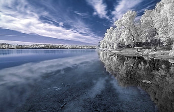 LAKE & TREE, lake, tree HD wallpaper