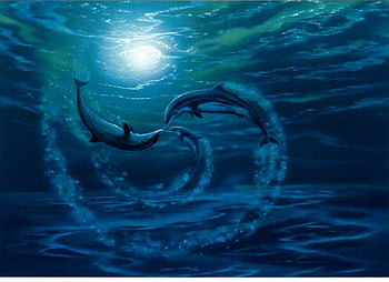 MOONLITE, moon, dolphin, ocea, light HD wallpaper