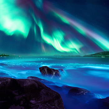 Borealis, Northern Lights, landscape, coast, night, Honor 20, stock HD phone wallpaper
