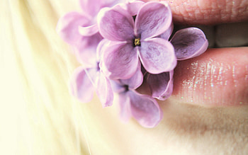 Flowers, Lilac, Macro, Lips HD wallpaper