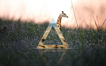 Miscellaneous-digital-art-hipster-abstract-minimalist-art- HD wallpaper