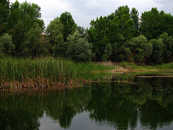 reflections of the peace, peace, reflections HD wallpaper