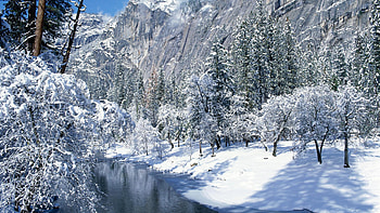 cool winter background HD wallpaper