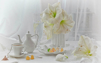 Still life, white, flowers, cup HD wallpaper