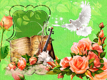 Peace and Roses, Peace, Roses, Music, Doves HD wallpaper