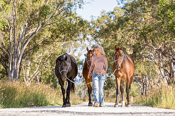 Can't Have Just One, horses, cowgirl, blonde, trees, gravel, road, gravel road HD wallpaper