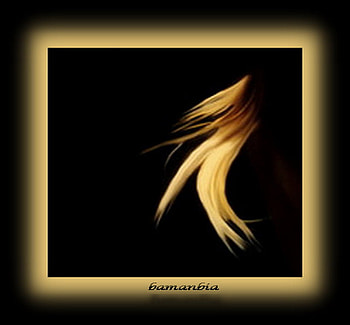 Slow dance, wind, dance, hair HD wallpaper