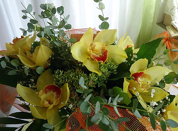 Flowers, Registration, Typography, Bouquet, Gypsophilus, Gipsophile, Orchids HD wallpaper